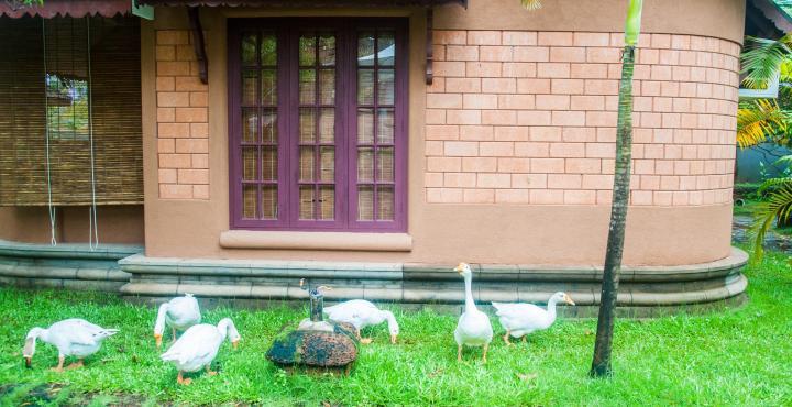 Pagoda Resorts Alappuzha Exterior photo